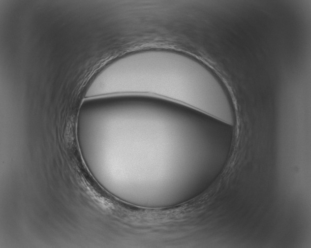 X0000085730009200703160849