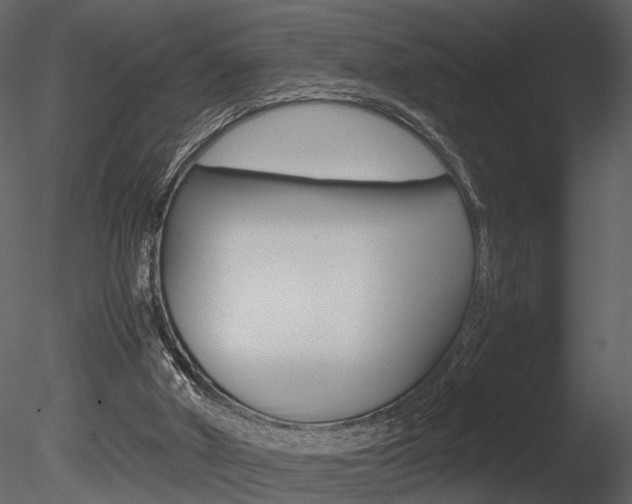 X0000085730010200703160849