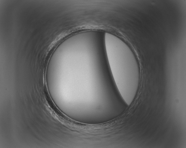 X0000085730011200703160849