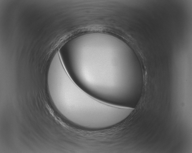 X0000085730013200703160849