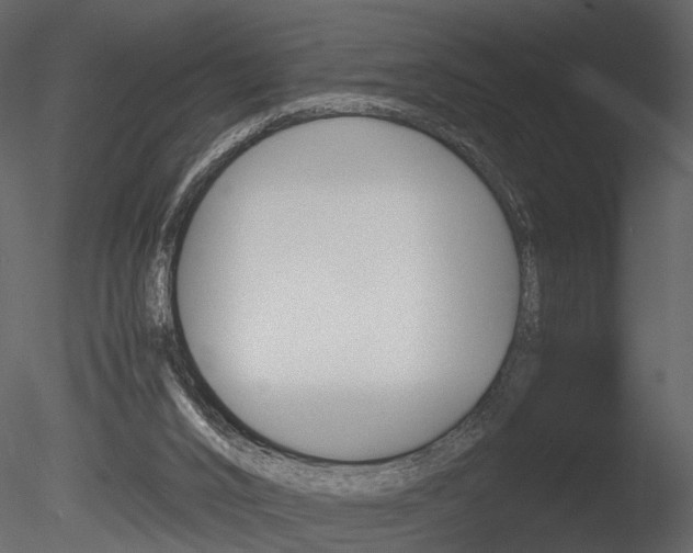 X0000085730016200703160849