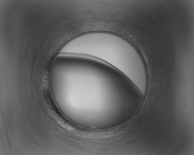 X0000085730017200703160849