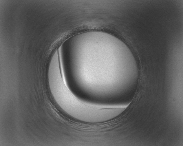 X0000085730019200703160848