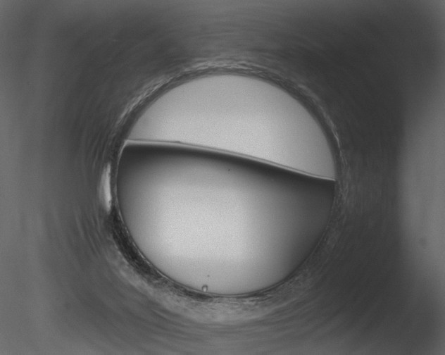 X0000085730020200703160848