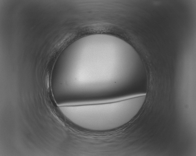 X0000085730021200703160848