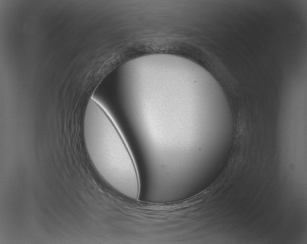 X0000085730025200703160848