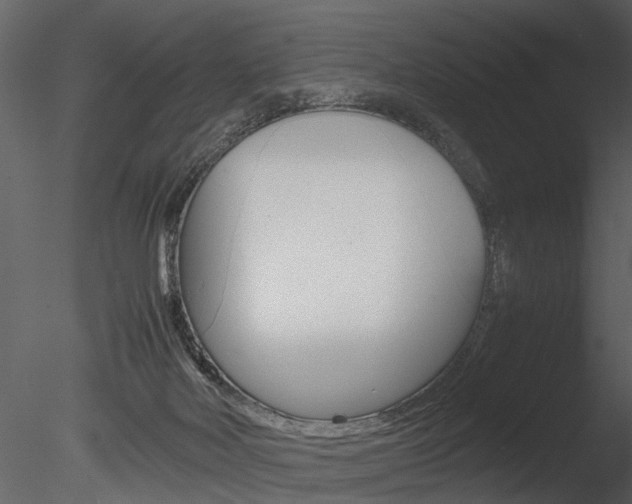 X0000085730026200703160848