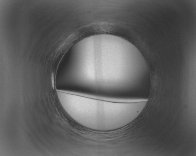 X0000085730027200703160848