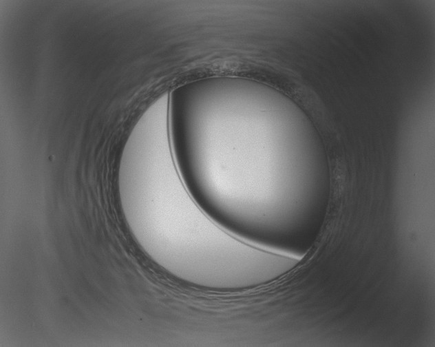 X0000085730029200703160848