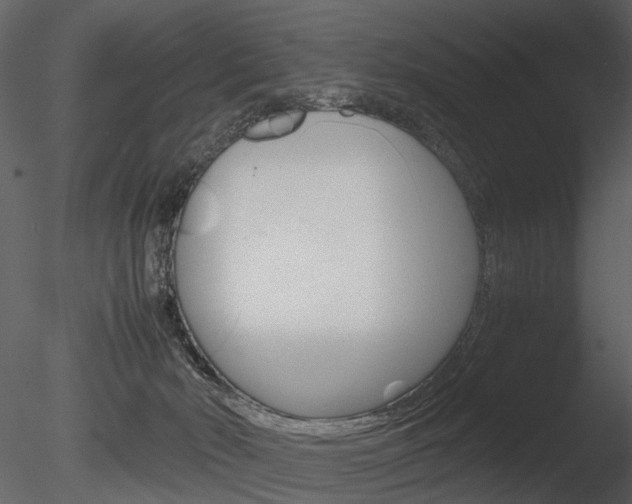 X0000085730030200703160848