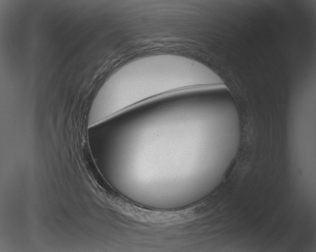 X0000085730031200703160848