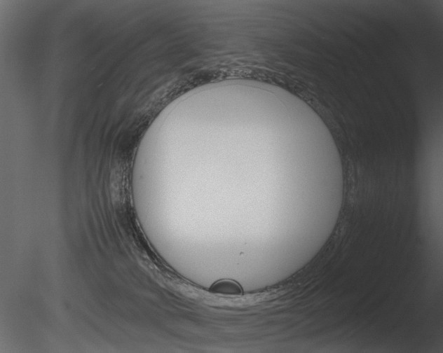 X0000085730034200703160848