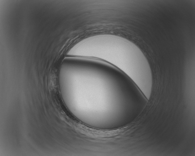 X0000085730035200703160848