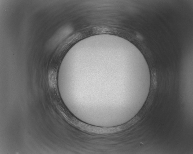 X0000085730036200703160848