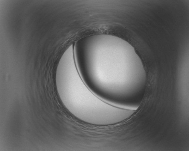 X0000085730037200703160848