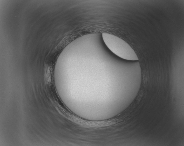 X0000085730038200703160848