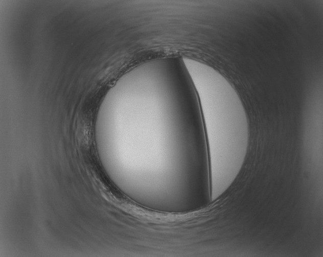 X0000085730039200703160848
