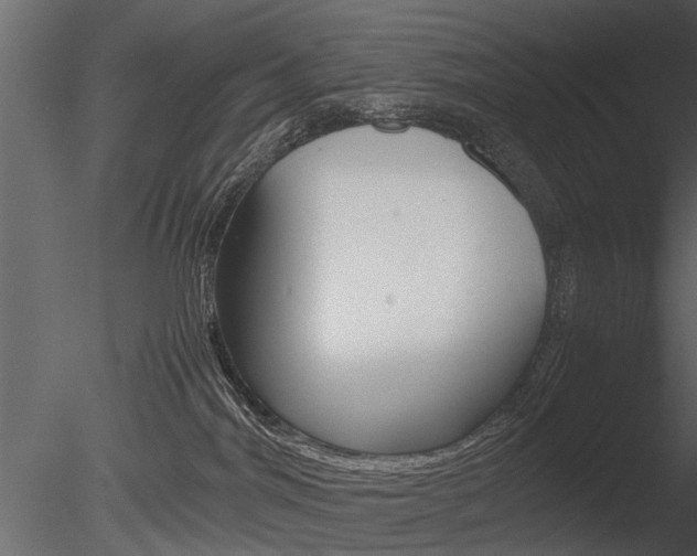 X0000085730044200703160848