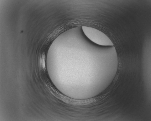 X0000085730046200703160848