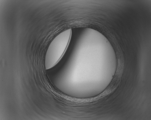 X0000085730048200703160848