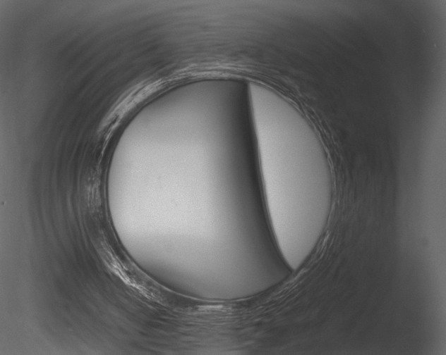 X0000085730050200703160847