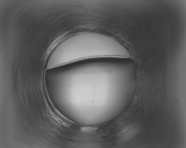 X0000085730051200703160847