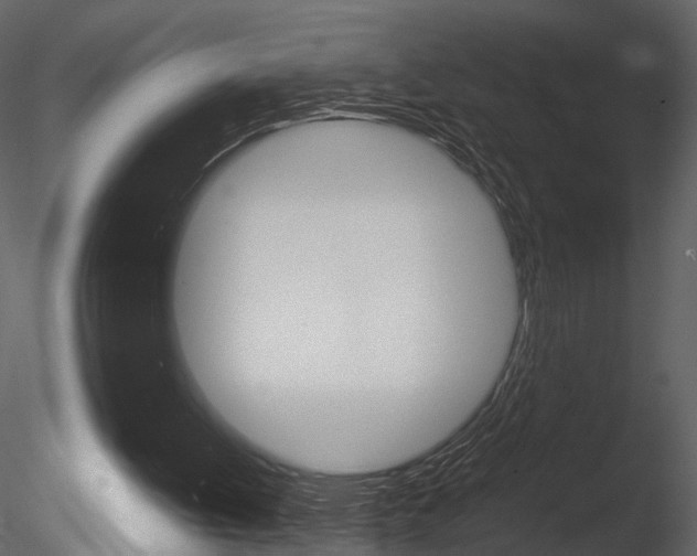 X0000085730052200703160847