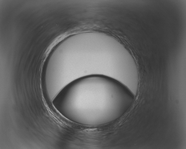X0000085730054200703160847