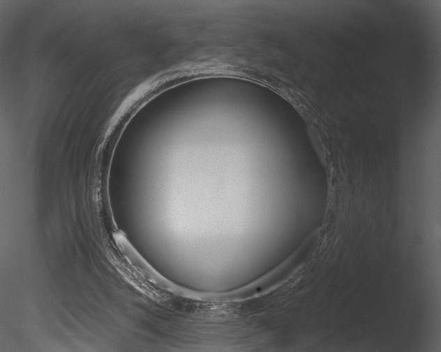 X0000085730056200703160847