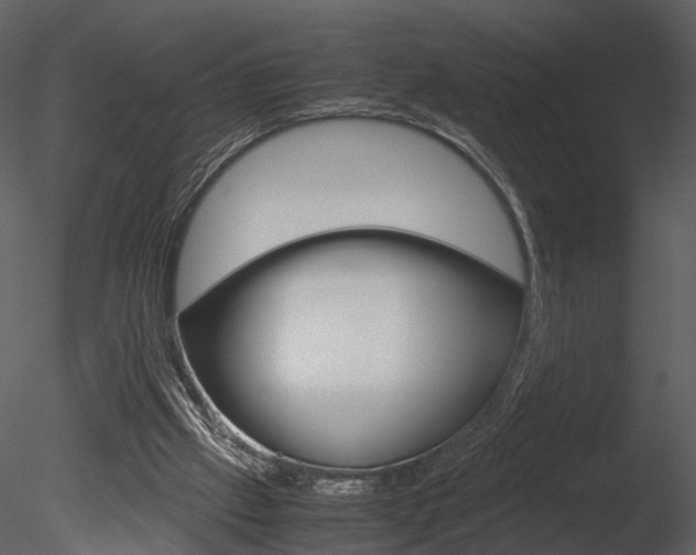 X0000085730057200703160847