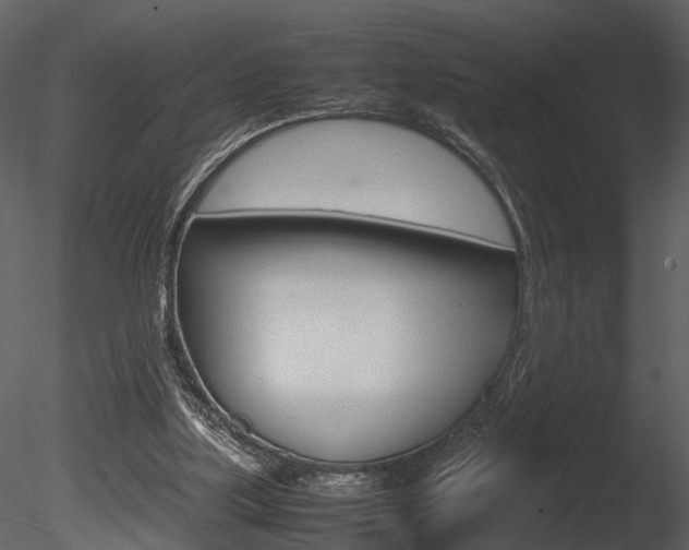 X0000085730059200703160847