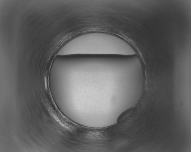 X0000085730061200703160847