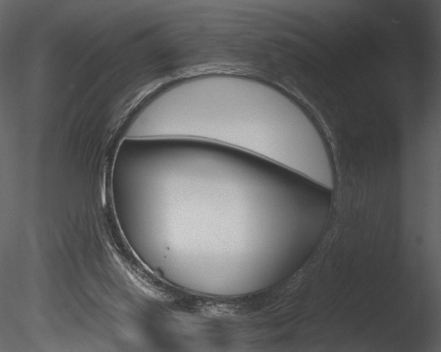 X0000085730062200703160847