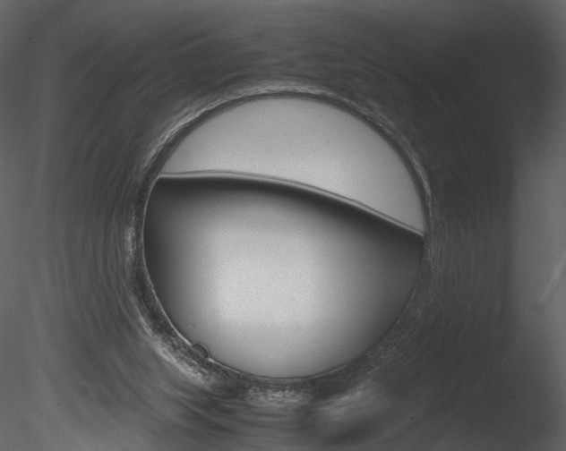 X0000085730063200703160847