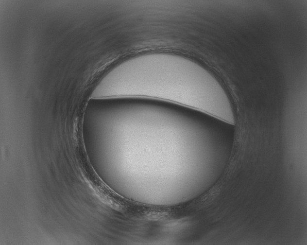 X0000085730066200703160847