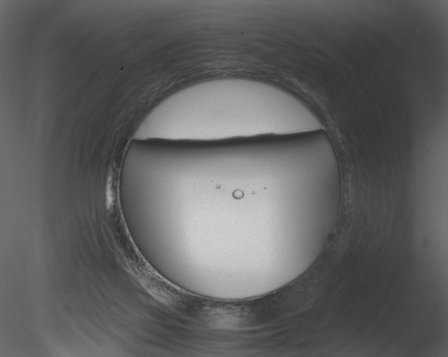 X0000085730069200703160848