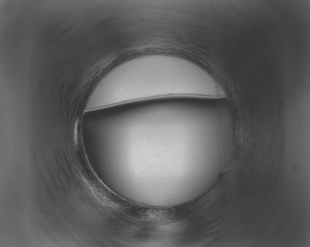 X0000085730070200703160848
