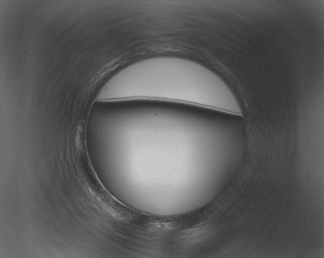 X0000085730071200703160848