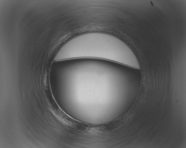 X0000085730072200703160848
