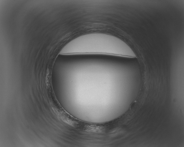X0000085730073200703160848