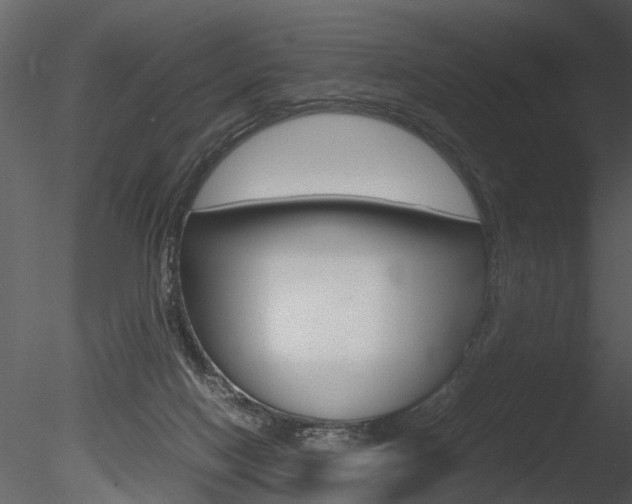 X0000085730074200703160848
