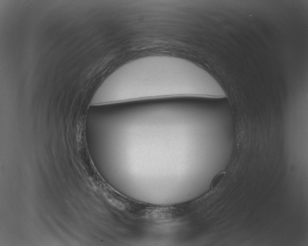 X0000085730078200703160848