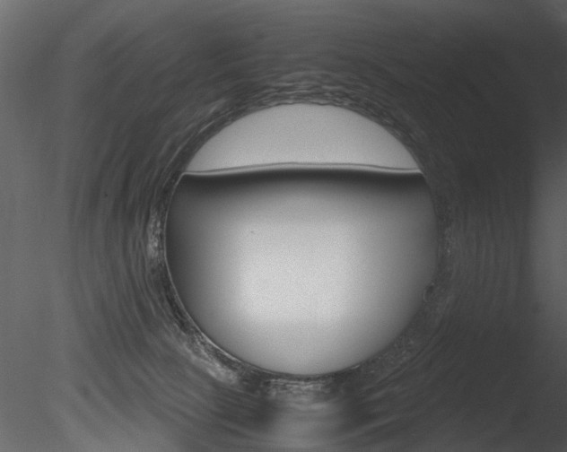 X0000085730081200703160848