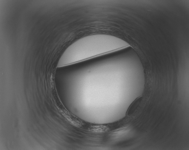 X0000085730087200703160848