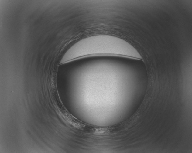 X0000085730088200703160848