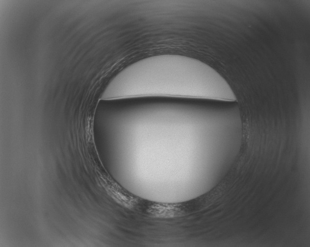 X0000085730093200703160848