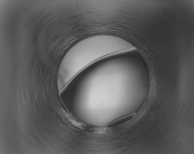 X0000085730096200703160848