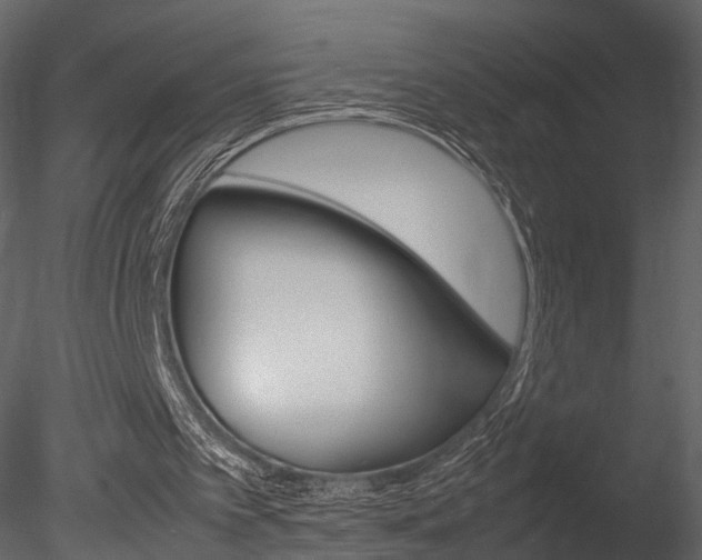 X0000085730097200703160847