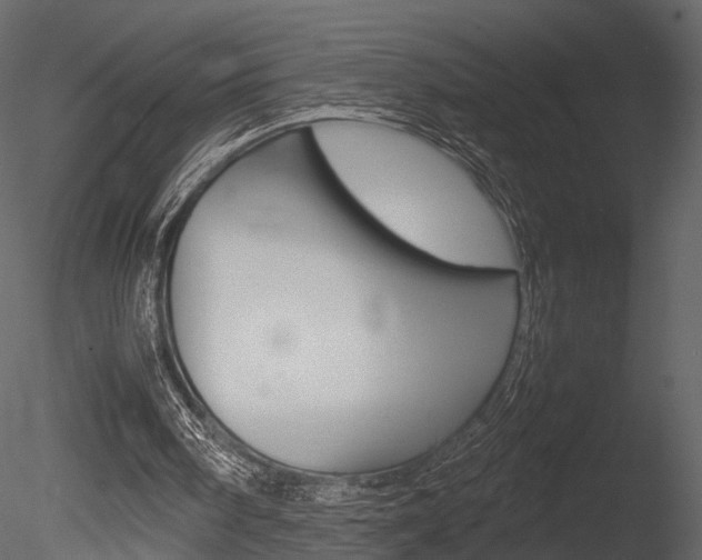 X0000085730098200703160847