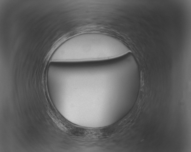 X0000085730099200703160847